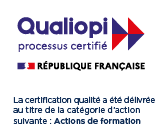 Langues stratégies